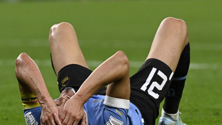 قطر.. شاشة "الفار" تتعرض لأول اعتداء في "كأس العالم" منذ اعتمادها في عالم كرة القدم (فيديو)