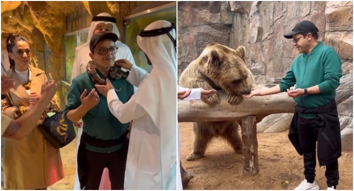 محمد هنيدي يطعم دب ويلف حول رقبته ثعبان ضخم