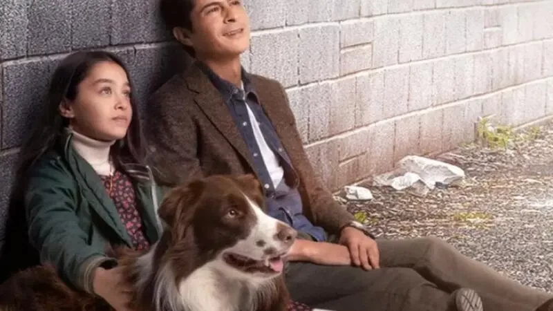 مسلسل أميرة بلا تاج التركي