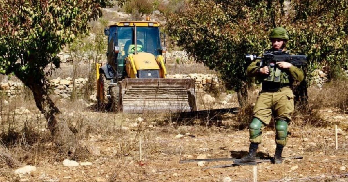 الاحتلال يتسبب باحتراق أشجار زيتون في تقوع