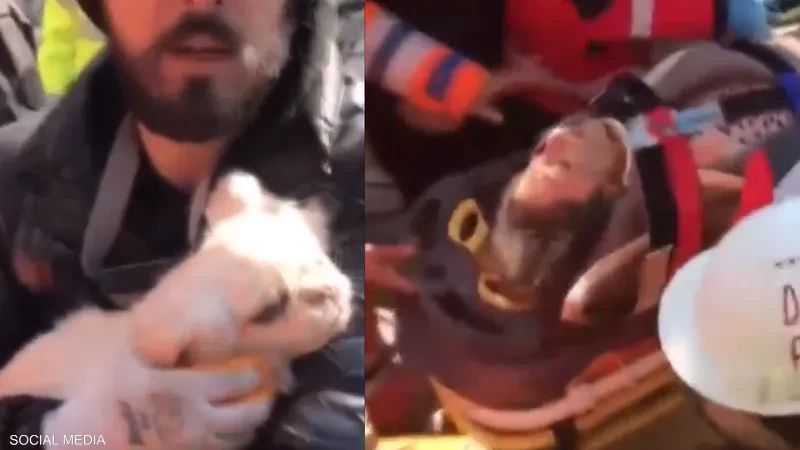 بالفيديو : بطولة كلبة.. أرشدت عن موقع صاحبتها تحت الأنقاض