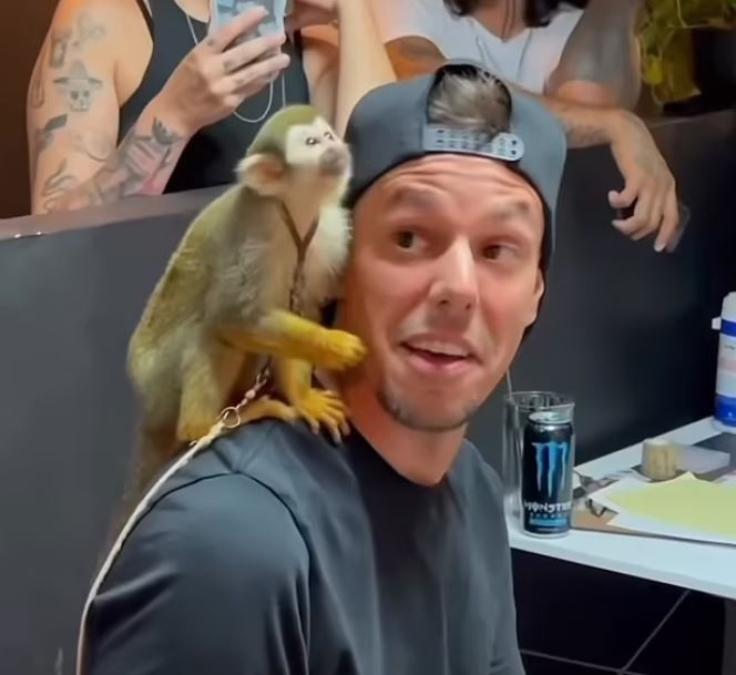 فنان يدرب قردًا على رسم التاتو لوشمه على ركبته