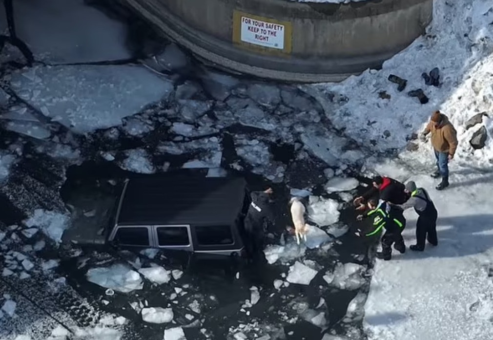 مراهق ينقذ مسناَ وكلبه بعد قيادة سيارته بالخطأ فى بحيرة متجمدة