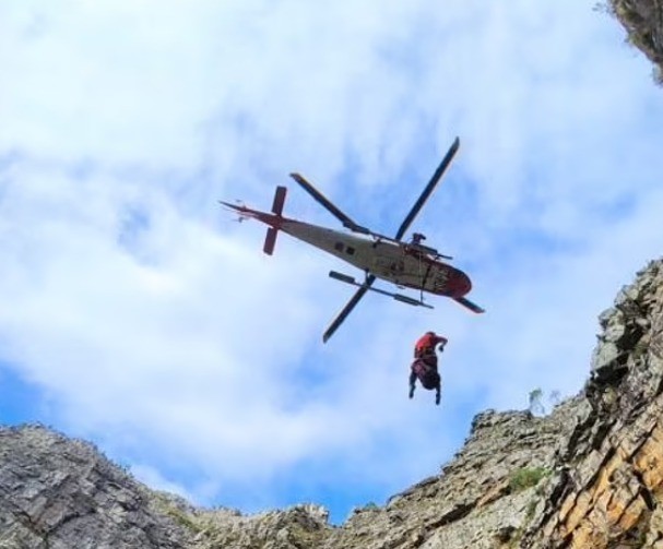 قردة البابون تهاجم مجموعة من ممارسى رياضة المشى وتكسر أقدام 3 منهم