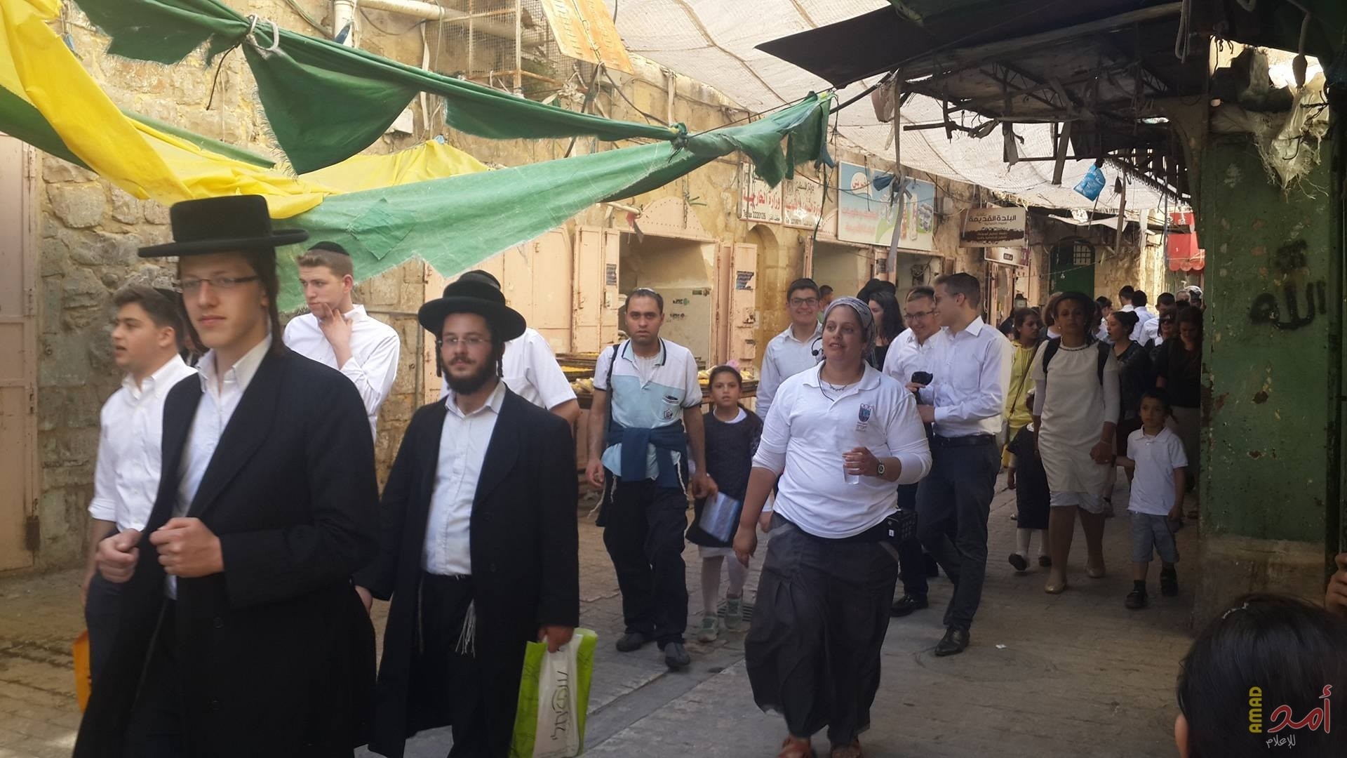 مستوطنون يؤدون طقوسًا تلمودية على أراضي المواطنين جنوب الخليل