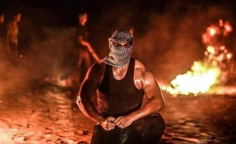 طالع فحواها