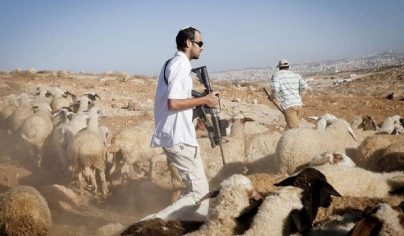 مستوطنون متطرفون يُطاردون رعاة أغنام شمال أريحا
