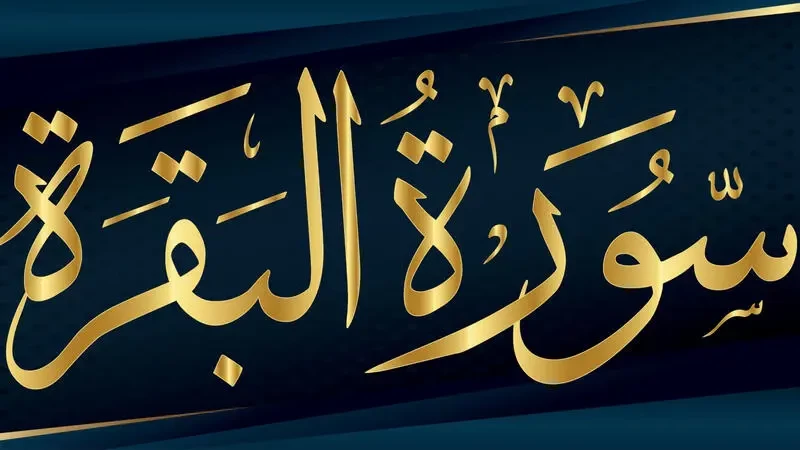 تفسير حلم سورة البقرة في المنام