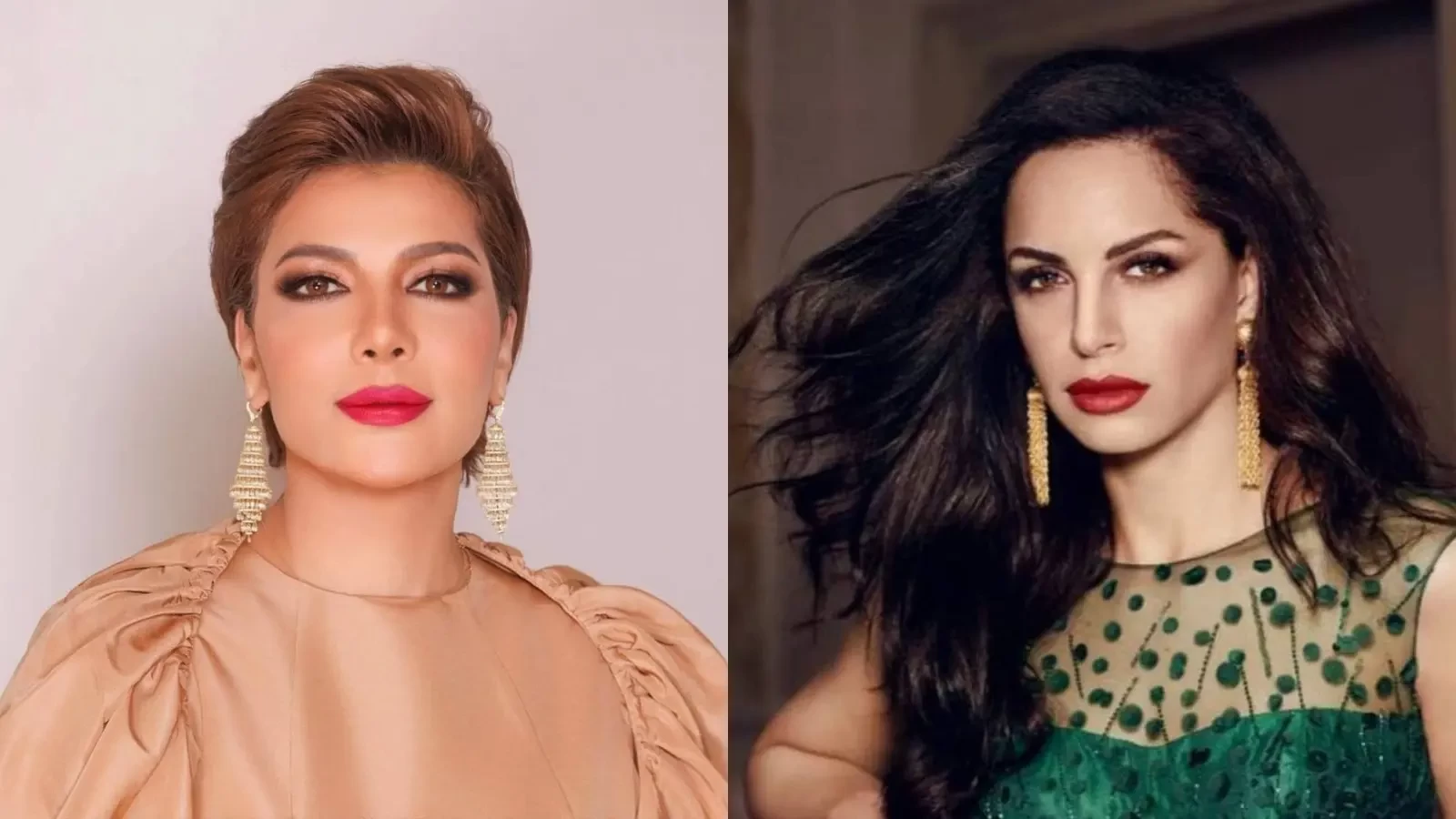 الغاء حفل اصالة نصري في مصر بسبب أمال ماهر