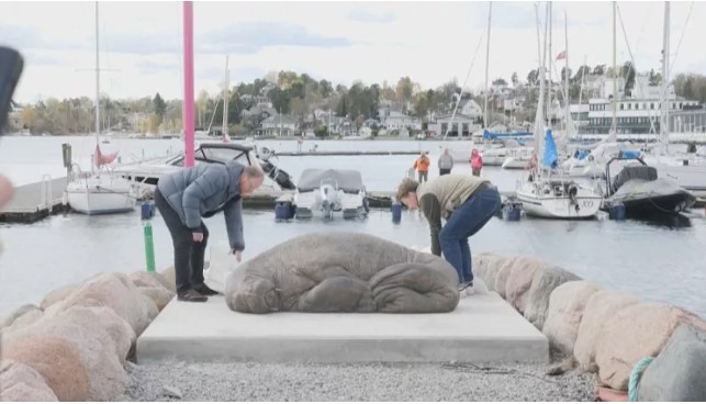 إزاحة الستار عن تمثال حيوان الفظ الشهير "فريا" بتكلفة 25 ألف دولار