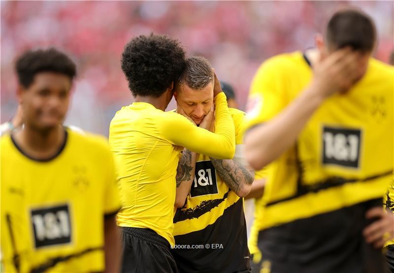 بالصور: تعادل درامي يسرق الحلم من دورتموند