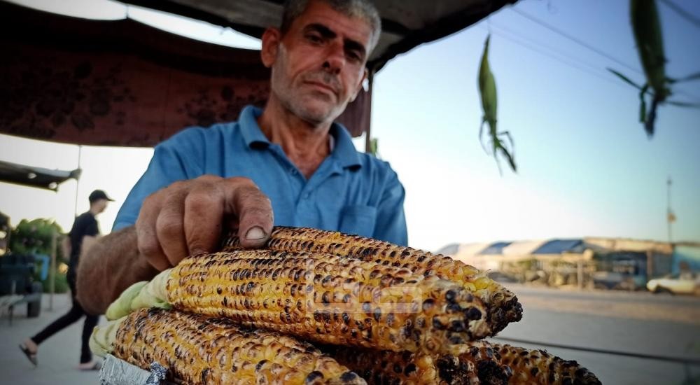 "إما مسلوقة أو مشوية"