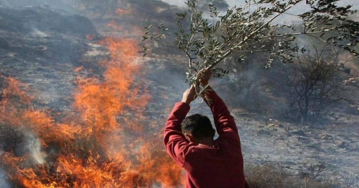 أمريكا تدعو الاحتلال إلى وقف العنف على الفور