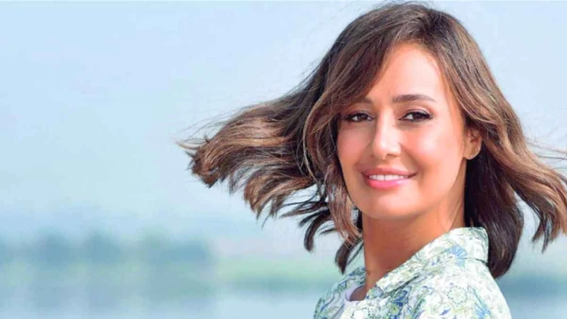 شاهد: حلا شيحة تطالب المتنمرين بمغادرة حسابها.. وتشكر أشرف زكي