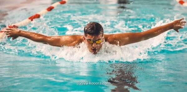 الدورة العربية بالجزائر.