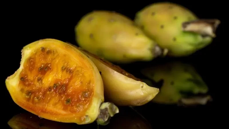 تفسير حلم تناول فاكهة الصبر في المنام - لابن سرين