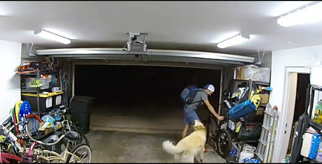 لص بأمريكا يلعب مع كلب عائلة أثناء سرقتهم