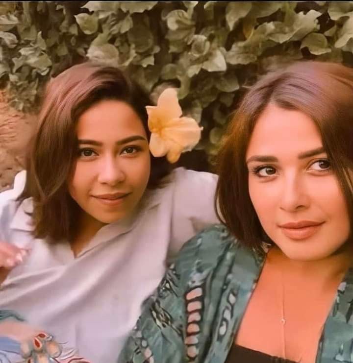 ياسمين عبد العزيز وشيرين تظهران بفيديوهات مضحكة