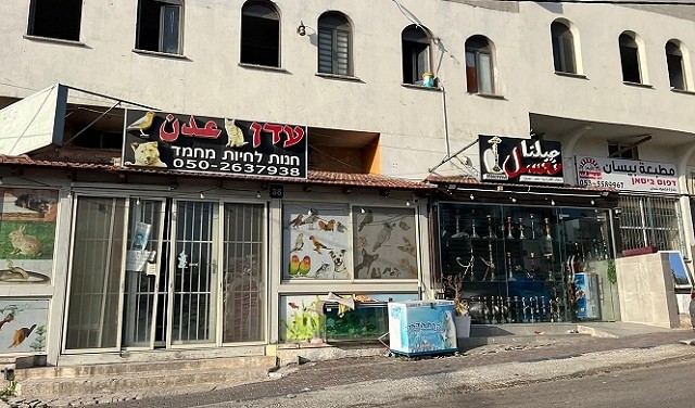 الإضراب الشامل يعم مدينة كفر قرع احتجاجًا على جرائم القتل