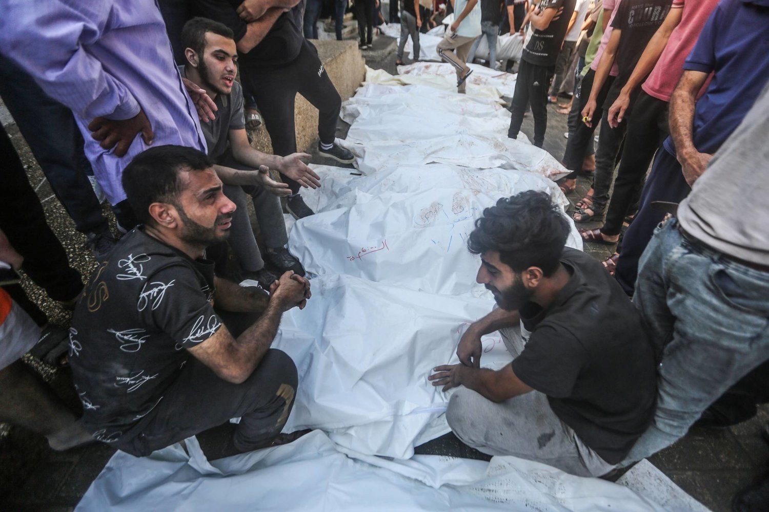 في اليوم السابع ..