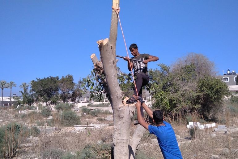 يجوبون الشوارع والمقابر بحثا عن الخشب.. حرب غزة تحيي مهنة الحطّاب