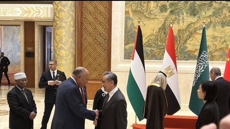 بدء التحرك العربي والإسلامي لوقف الحرب على غزة