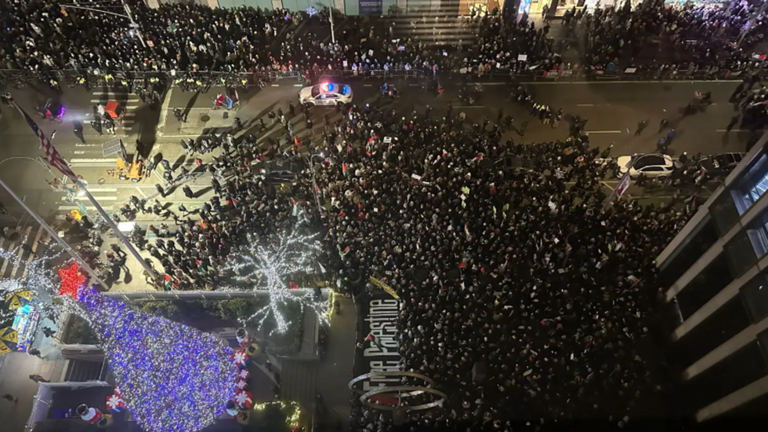 احتجاجات تأييدا لفلسطين بالتزامن مع إضاءة شجرة الميلاد في نيويورك