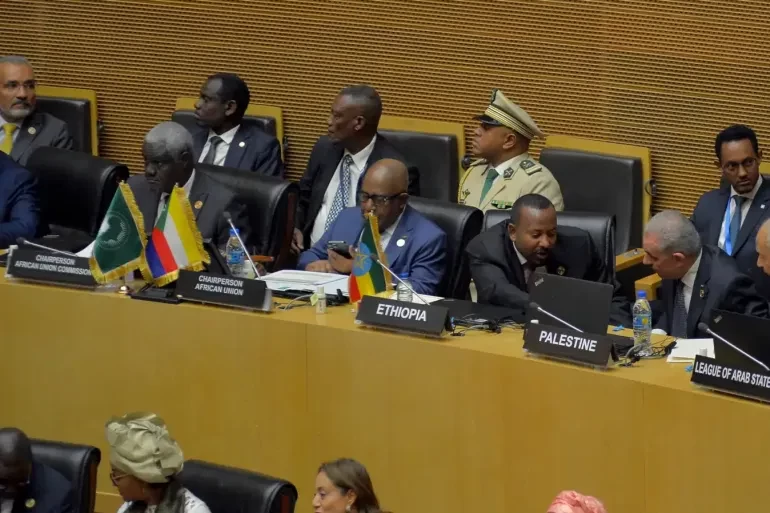 القمة الأفريقية تدين حرب إسرائيل "الوحشية" في غزة وتطالب بتحقيق دولي