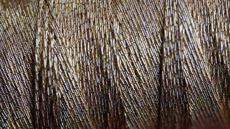 "أرق من شعرة الإنسان".. ابتكار جديد لألياف ذكية تدخل في نسيج الملابس اليومية