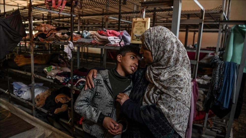 باردة وملأى بالحشرات.. عوائل غزة النازحة تلوذ بمزارع الدواجن