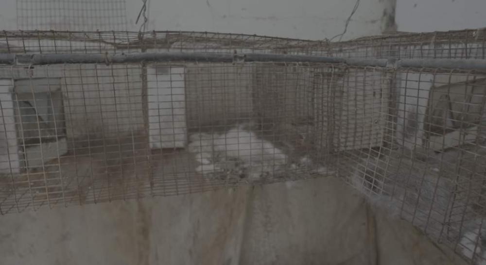 اقتلع نحو 55 ألف شجرة ودمر 8 حدائق عامة