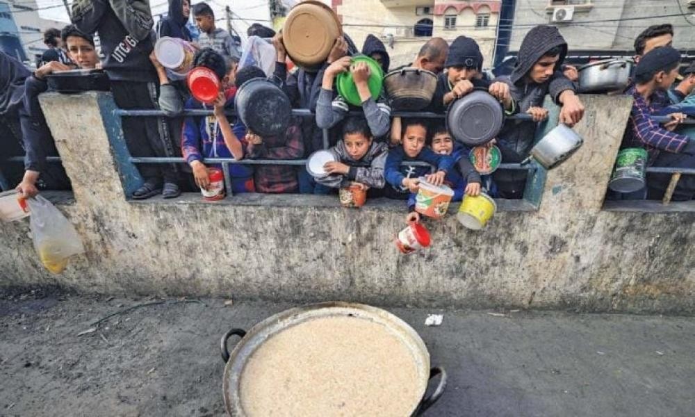 الأمم المتحدة: 70% من شمال قطاع غزة يواجه "جوعًا رهيبًا"