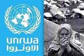 أونروا تطلق نداء لجمع 1.21 مليار دولار لتلبية احتياجات غزة والضفة
