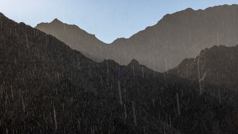 سيارة وجمال.. هدايا مقدمة لسعودي أنقذ مواطنيه من سيل جارف (فيديو)