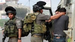 الاحتلال يعتقل شقيقين من مخيم قلنديا