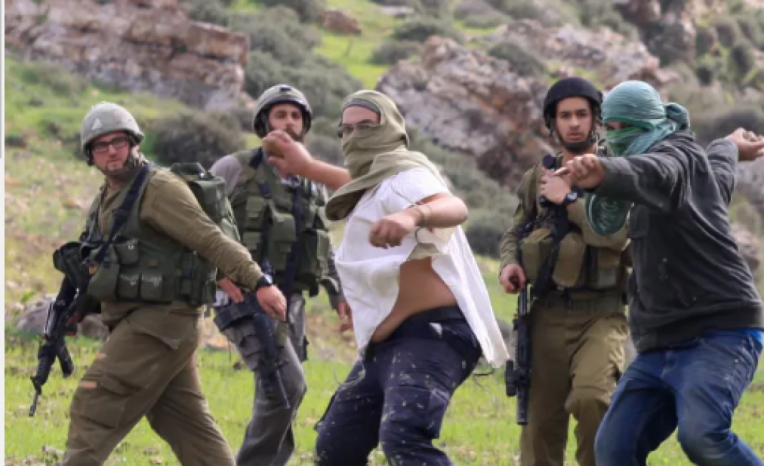 مستوطنون يهاجمون مساكن المواطنين في خربة الفارسية بالاغوار الشمالية