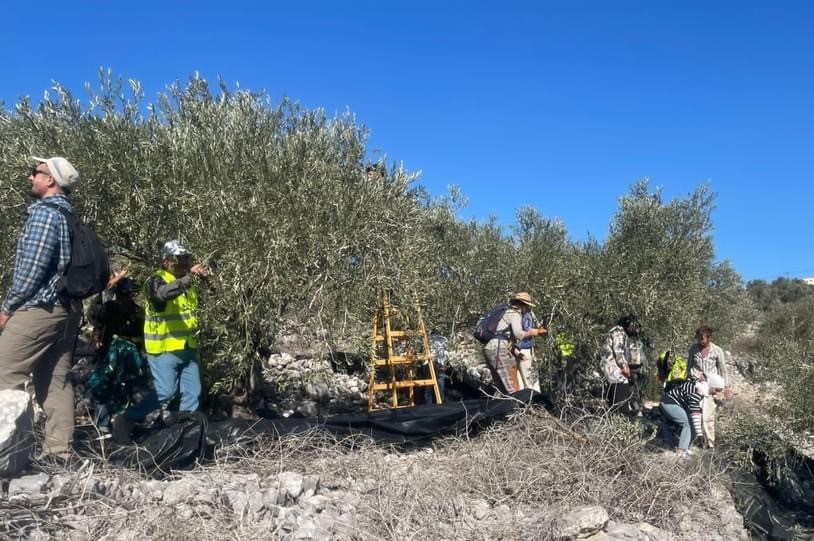 الاحتلال ومستعمروه يهاجمون المزارعين والمتطوعين في بيت ليد شرق طولكرم