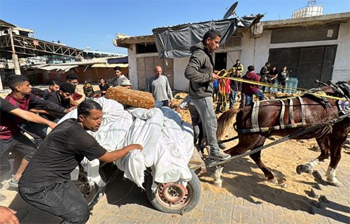 14 شهيدا في قصف الاحتلال حي السلاطين ببيت لاهيا والشيخ رضوان في غزة