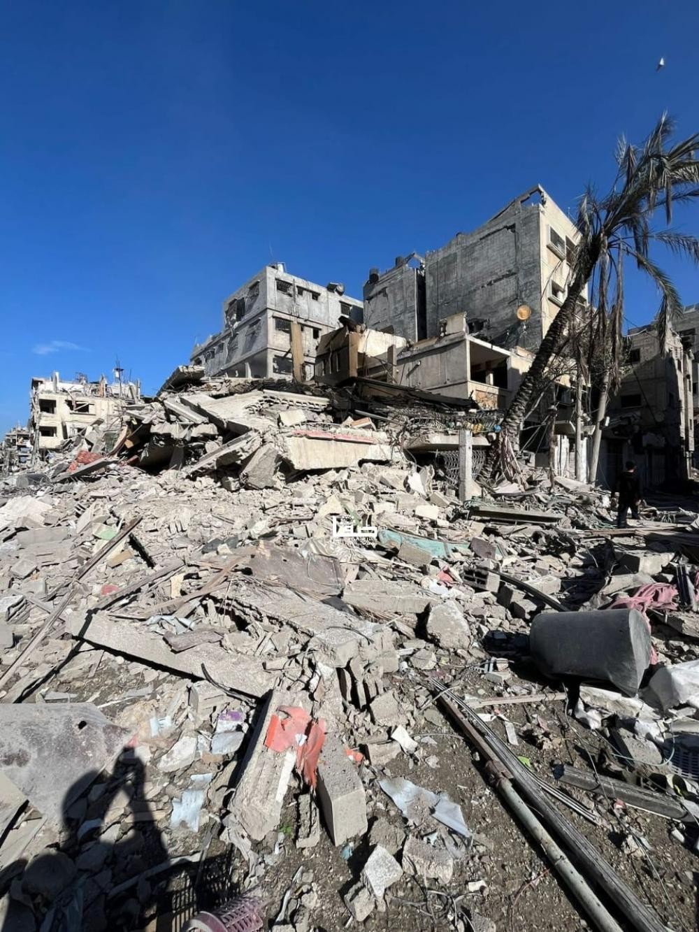 53 يومًا وآلاف المواطنين شمالي القطاع يتعرضون للقتل والحصار