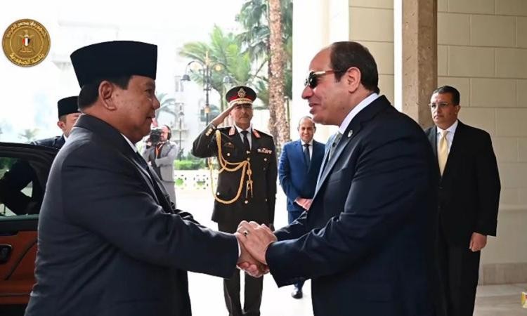 السيسي ونظيره الإندونيسي يؤكدان على ضرورة احترام حقوق الشعب الفلسطيني