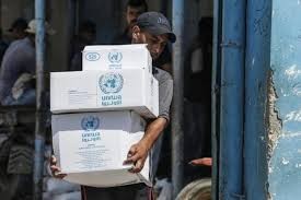 الأونروا: حجم المعاناة بغزة زعزع الإيمان بحقوق الإنسان