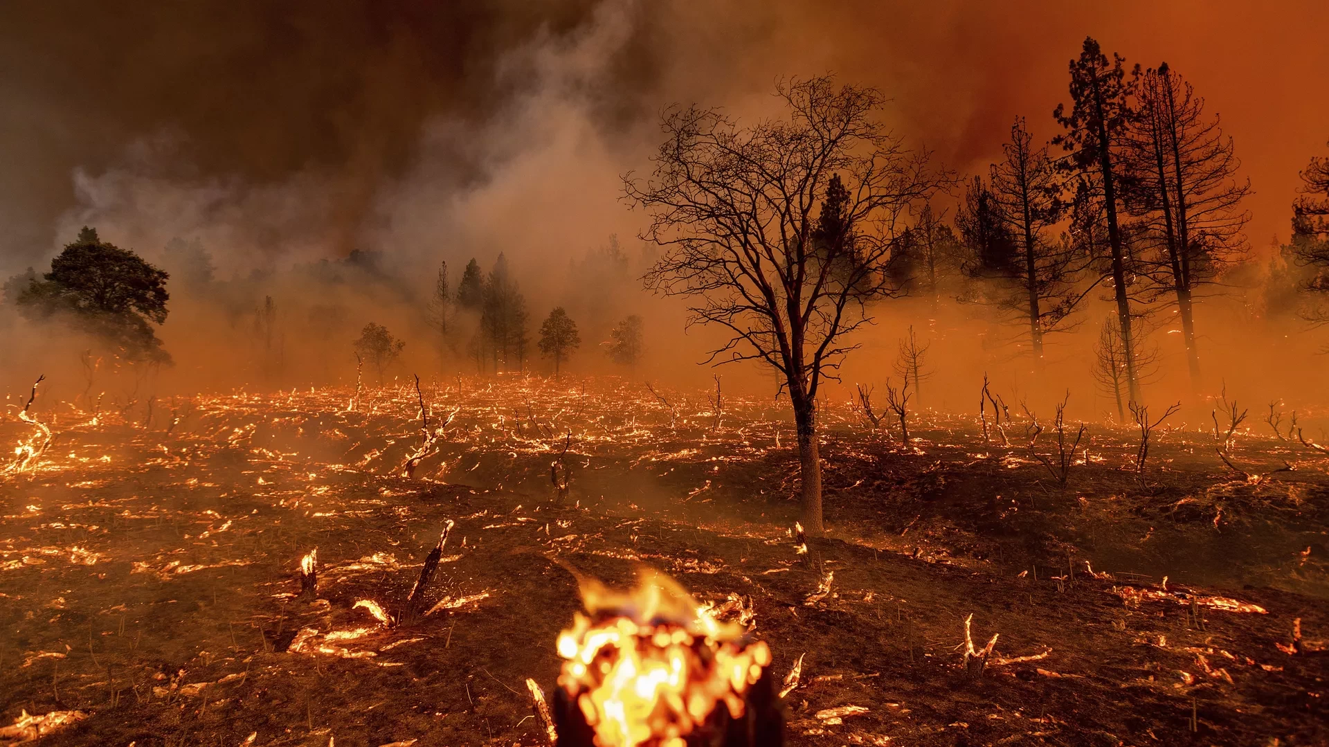 للأسبوع الثاني على التوالي