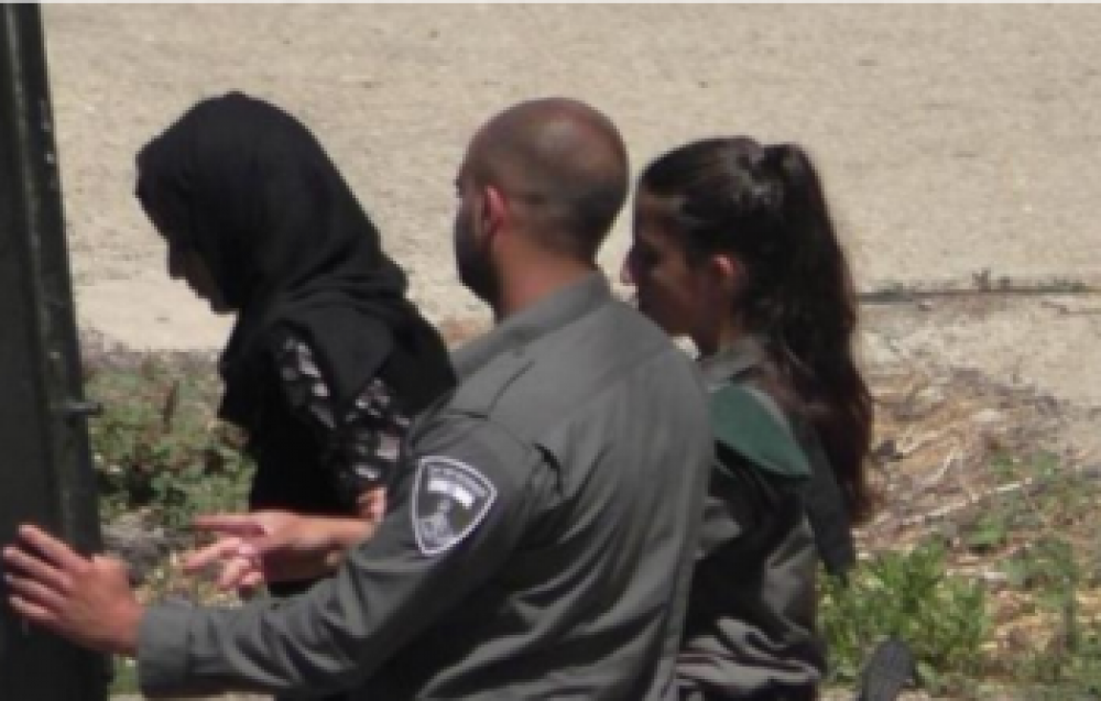 الاحتلال يعتقل طالبة جامعية من القدس