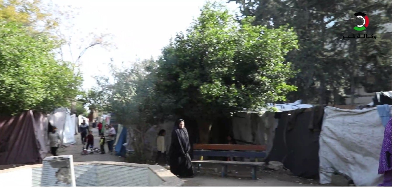 بالفيديو: الحرب وضعت أوزارها في غزة وتفتحت جراح عائلات لم تتمكن من العودة لبيوتها