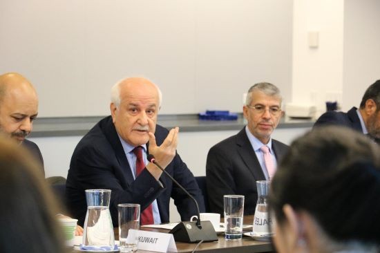 نيويورك: سفراء الاتحاد الأوروبي والعرب يؤكدون على رفضهم دعوات تهجير أبناء شعبنا