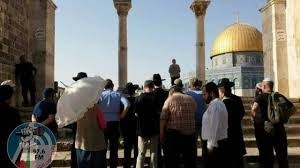 مستعمرون يقتحمون الأقصى