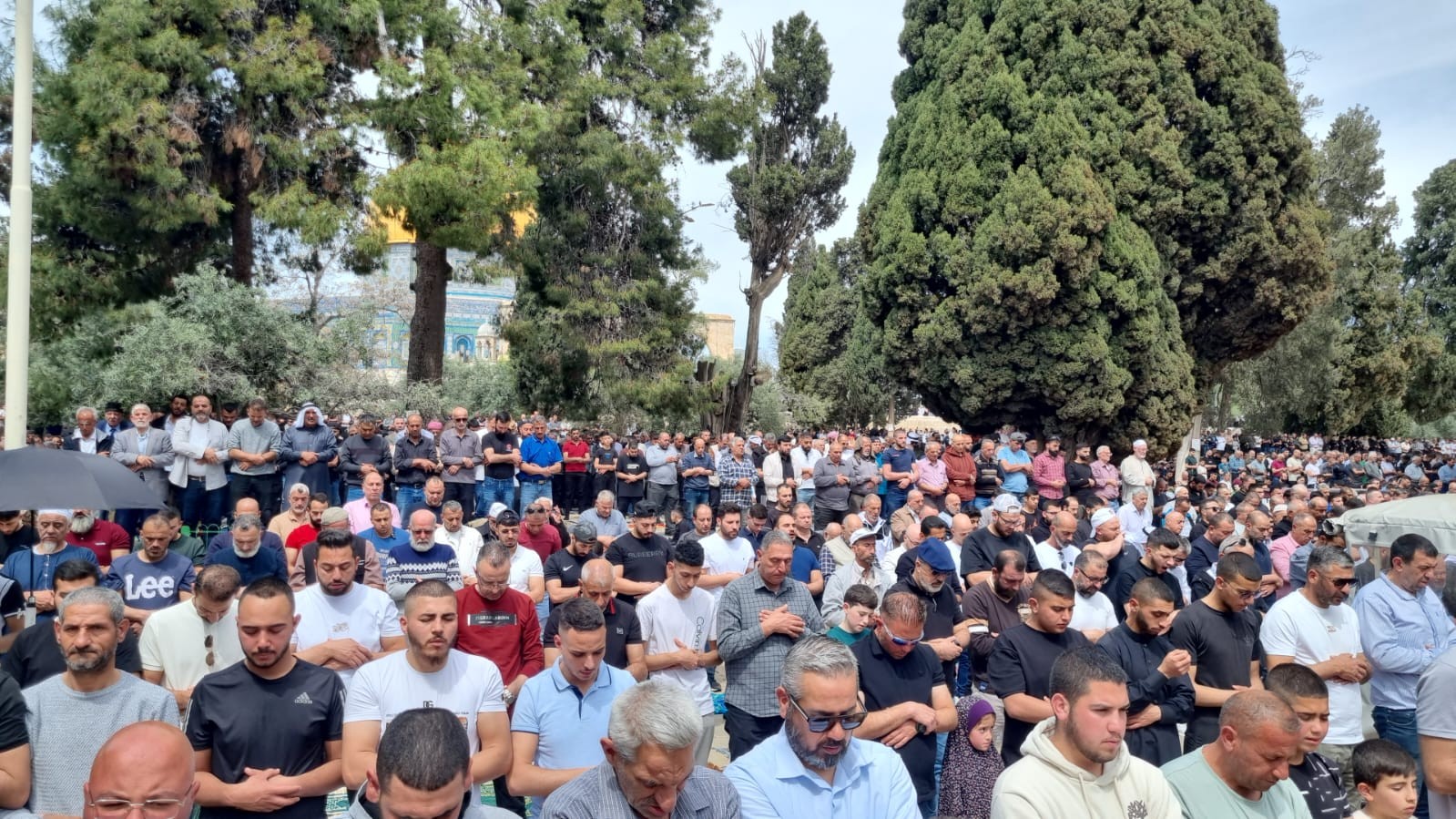 رغم إجراءات الاحتلال