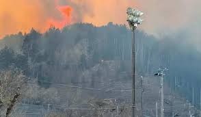 حرائق اليابان تأتي على حوالي 1800 هكتار من الأراضي