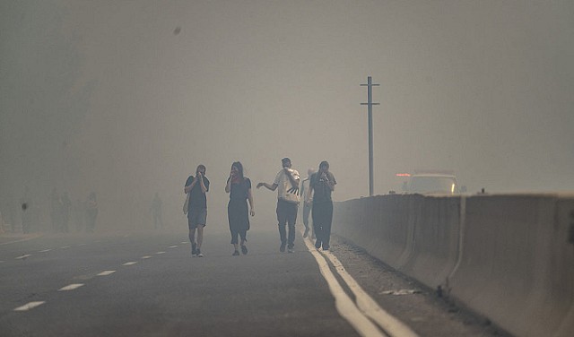 حرائق هائلة بجبال القدس .."إسرائيل" تطلب مساعدات دولية لإخمادها