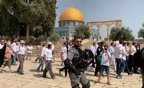 مستوطنون يقتحمون الأقصى ودعوات للتصدي لمحاولات ذبح "قرابين الفصح"